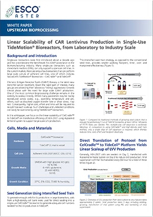 Linear Scalability of CAR Lentivirus Production - EN