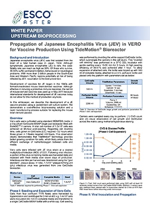 Propagation of Japanese Encephalitis Virus (JEV) in VERO for Vaccine Production - EN