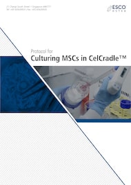 Protocol for Culturing MSCs in CelCradle™ - EN