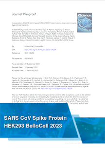 Incorporation of SARS-CoV-2 spike NTD to RBD Protein Vaccine Improves Immunity Against Viral Variants
