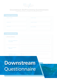 Downstream Questionnaire - EN