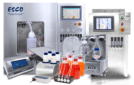 Technology Adoption / Scale-up