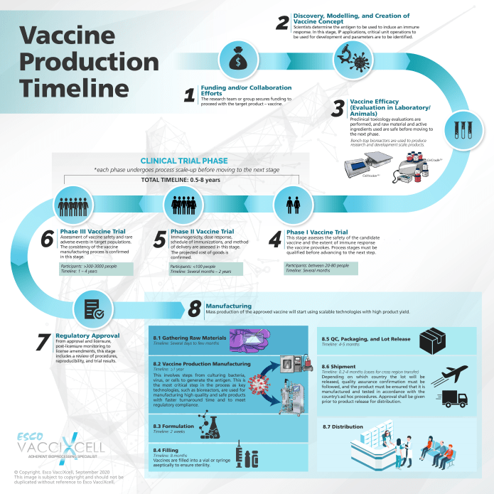 Vaccine Production Timeline