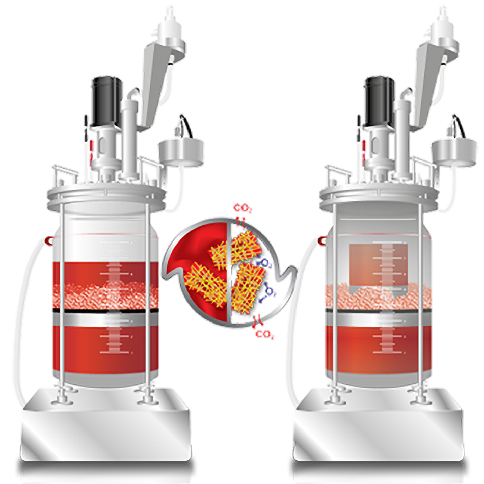 Adherent Cell Culture Bioreactors Esco VacciXcell