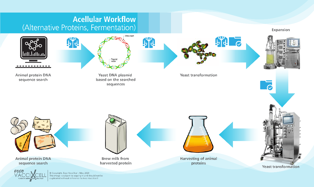 Acellular Workflow