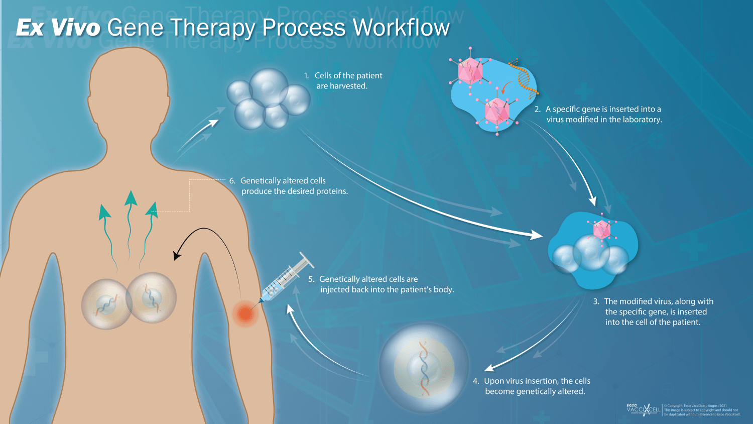 gene therapy process