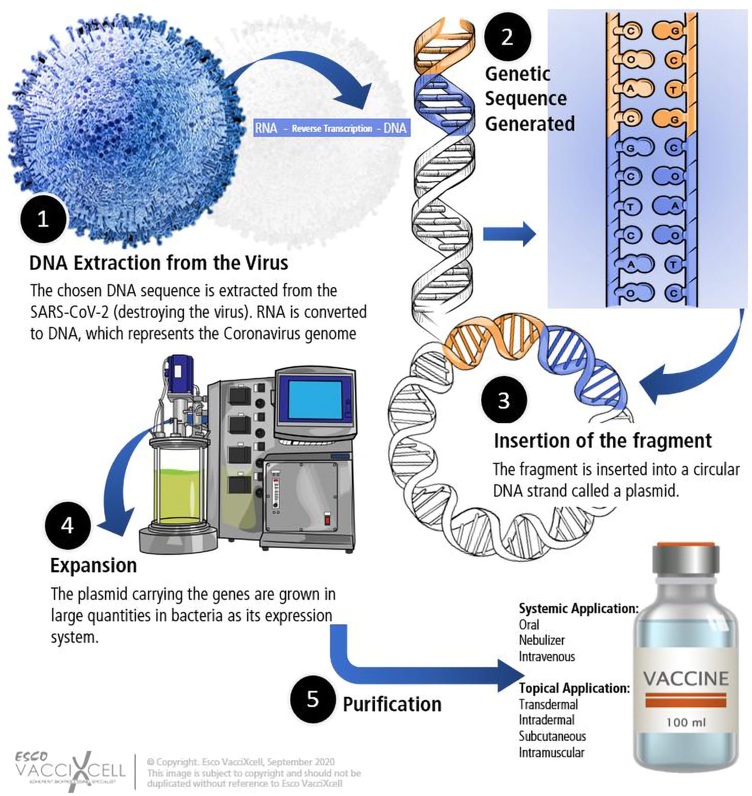 RNA vaccine workflow