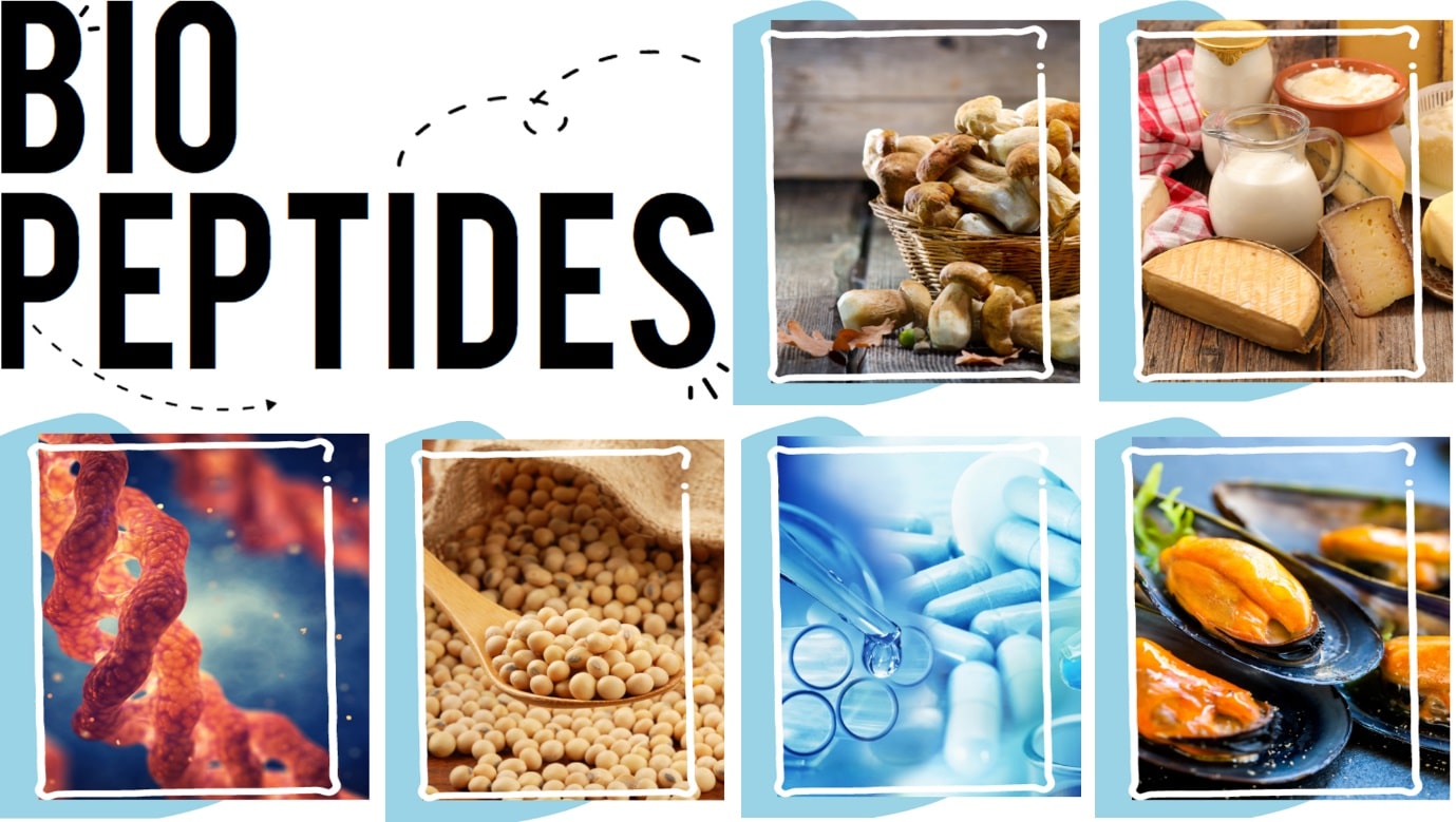 BIOACTIVE PEPTIDES Applications And Our Solutions Esco Healthcare
