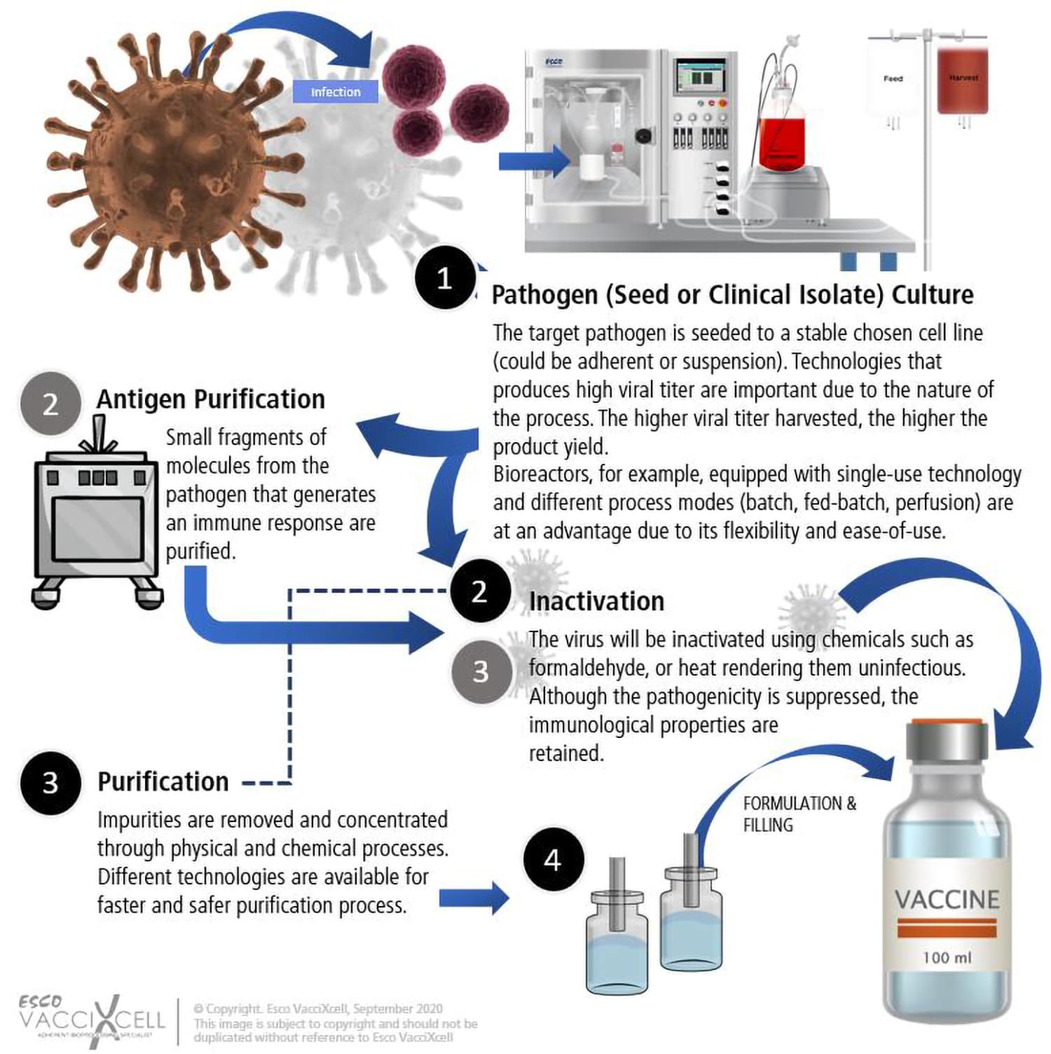 Inactivated vaccine workflow