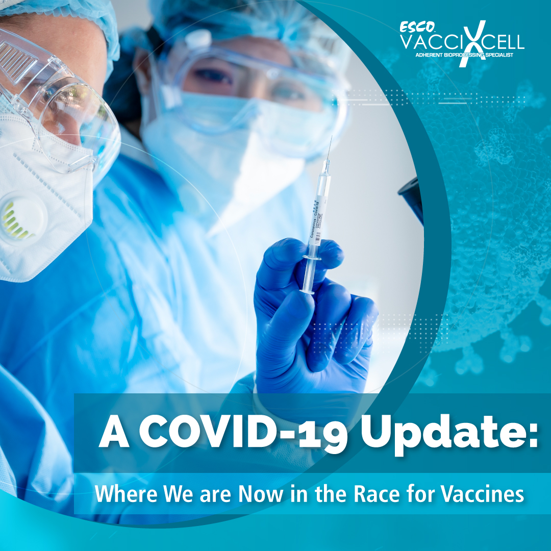 Where We are Now in the Race for the COVID-19 Vaccine | Esco VacciXcell