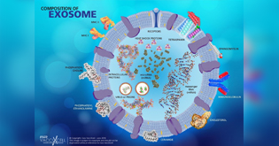 EXOSOMES AT WORK Part 2 of 3