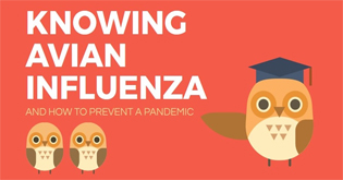 KNOWING AVIAN INFLUENZA AND HOW TO PREVENT A PANDEMIC