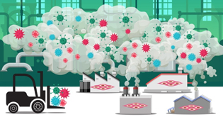 Multi-product Cell Factory: Development of Universal Viral Vaccine Cell Lines