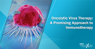 Oncolytic Virus Therapy: A Promising Approach to Immunotherapy