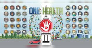 One Health Vaccine Strategies:  <br/> Crossing Boundaries, Preventing Outbreaks