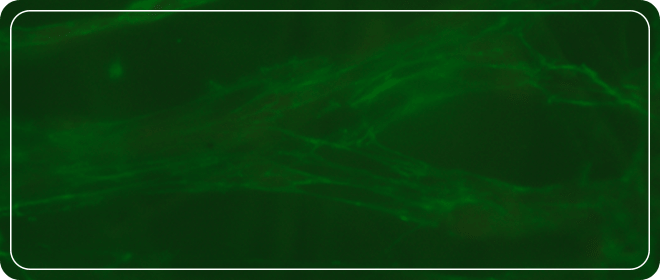 Combination Technology